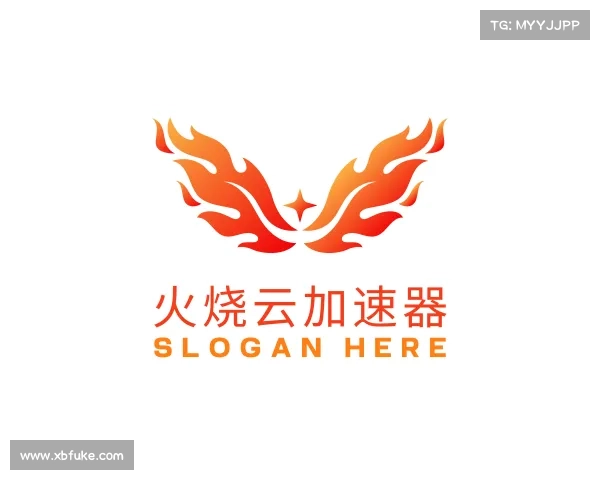 介绍火烧云加速器